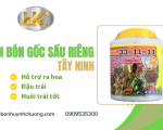 Phân bón gốc sầu riêng Tây Ninh hỗ trợ ra hoa, đậu trái, nuôi trái tốt