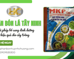 Phân bón lá Tây Ninh: Giải pháp bổ sung dinh dưỡng hiệu quả cho cây trồng