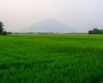 CÔNG TY TNHH HUỲNH CHƯƠNG