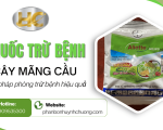 Giải pháp thuốc trừ bệnh cây mãng cầu Tây Ninh hiệu quả