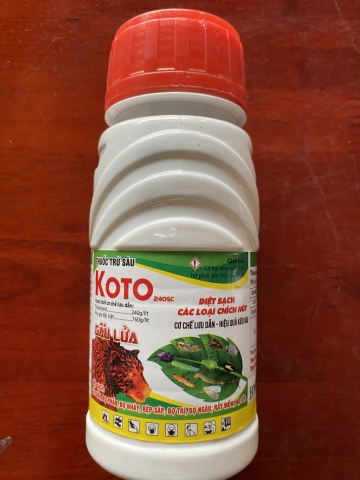 KOTO 240SC DIỆT SẠCH CÁC LOÀI CHÍCH HÚT