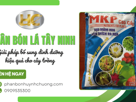 Phân bón lá Tây Ninh: Giải pháp bổ sung dinh dưỡng hiệu quả cho cây trồng