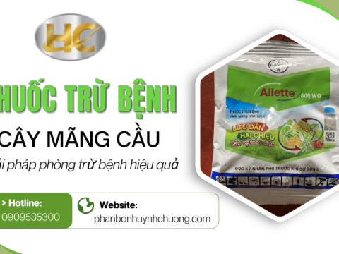 Giải pháp thuốc trừ bệnh cây mãng cầu Tây Ninh hiệu quả