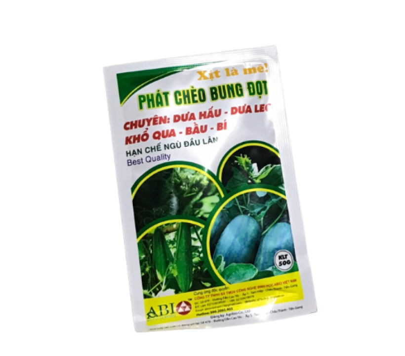 PHÁT CHÈO BUNG ĐỌT