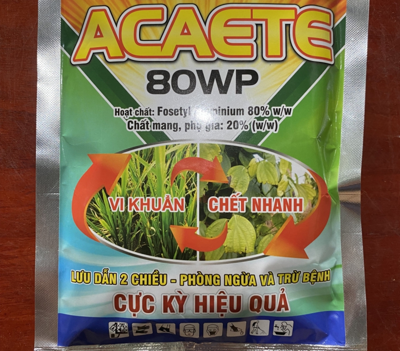ACAETE PHÒNG VÀ NGỪA BỆNH - VI KHUẨN