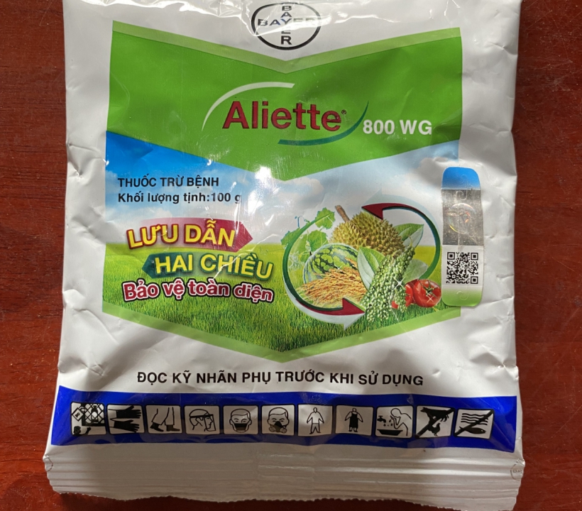 ALIETTE CHUYÊN TRỊ KHUẨN