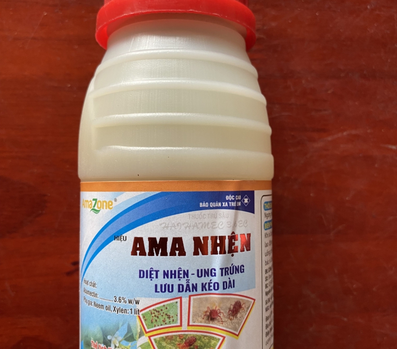 AMANHEN DIỆT NHỆN DIỆT CẢ TRỨNG 