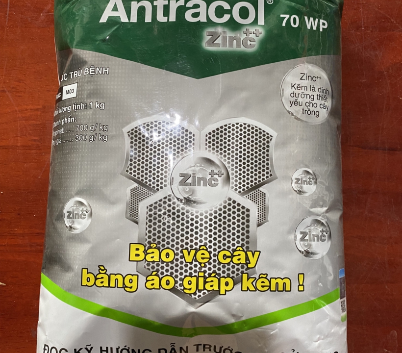 ANTRACOL BẢO VỆ CÂY TRỒNG BẰNG ÁO GIÁP KẼM
