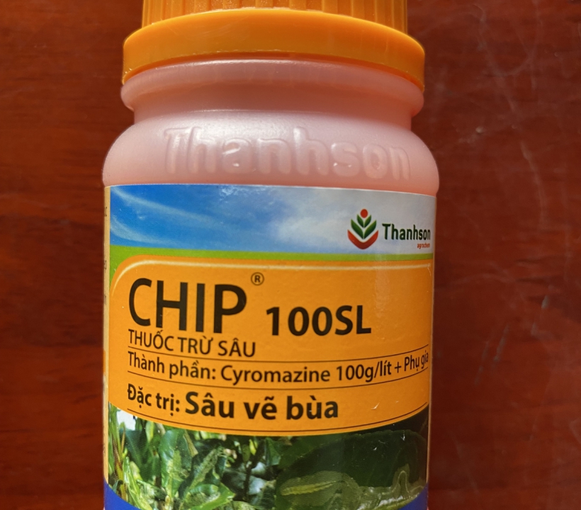 CHIP 100SL ĐẶC TRỊ: SÂU VẼ BÙA