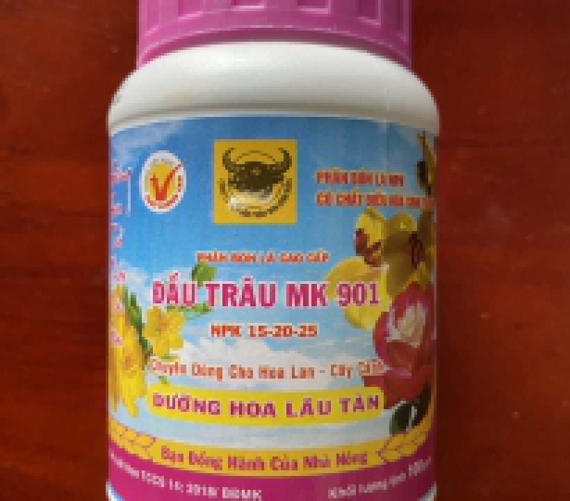 ĐẦU TRÂU 901 DƯỠNG HOA LÂU TÀN