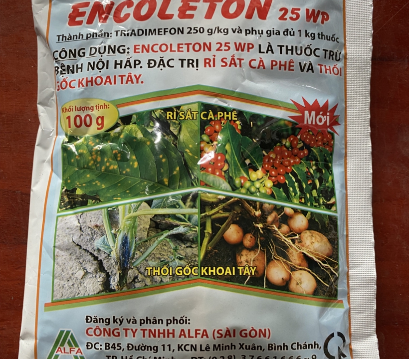 ENCOLETON ĐẶC TRỊ BỆNH RỈ SẮT