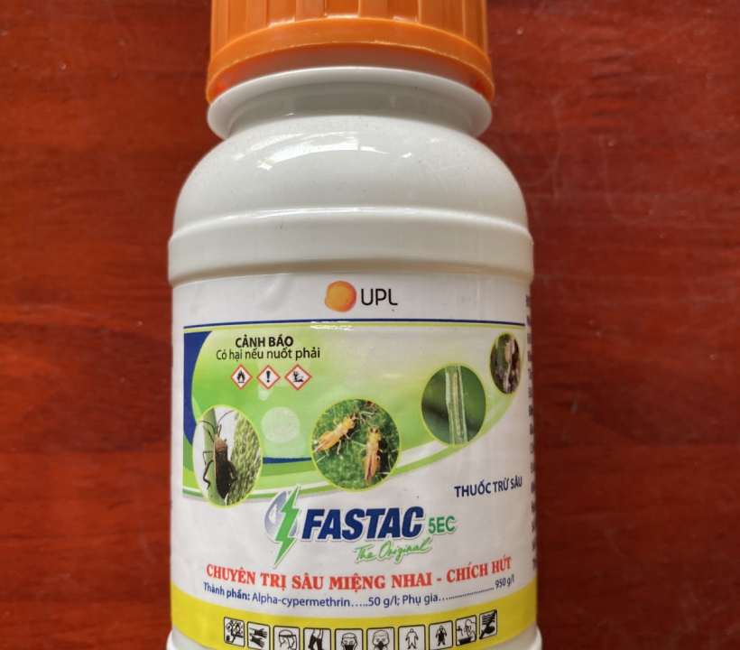 FASTAC CHUYÊN TRỊ SÂU MIỆNG NHAI - CHÍCH HÚT