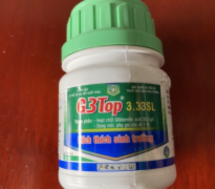 G3 TOP KÍCH THÍCH TĂNG TRƯỞNG