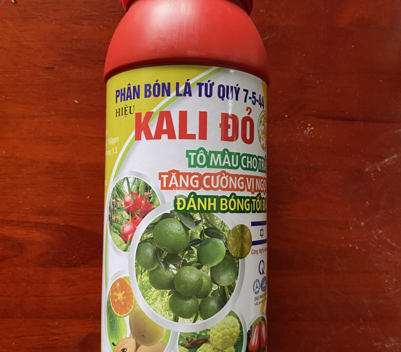 KALI ĐỎ 7-5-44 TÔ MÀU ĐẸP TRÁI