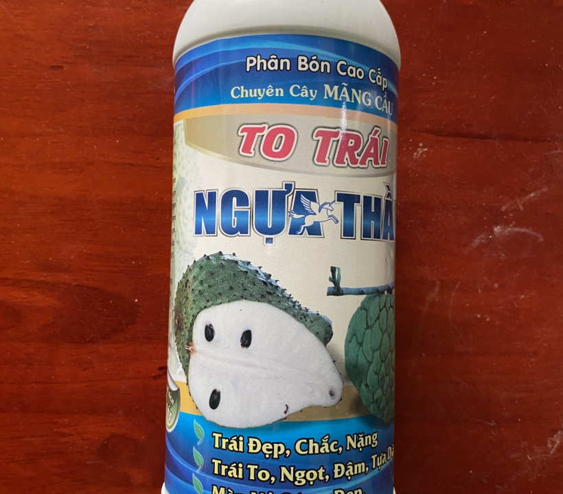 TO TRÁI NGỰA THẦN CHUYÊN CHO CÂY MÃNG CẦU