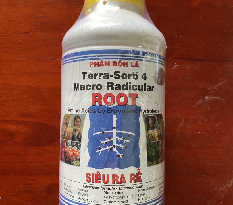 ROOT SIÊU RA RỄ