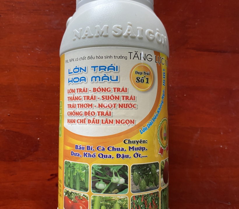 LỚN TRÁI HOA MÀU ĐẸP TRÁI SỐ 1