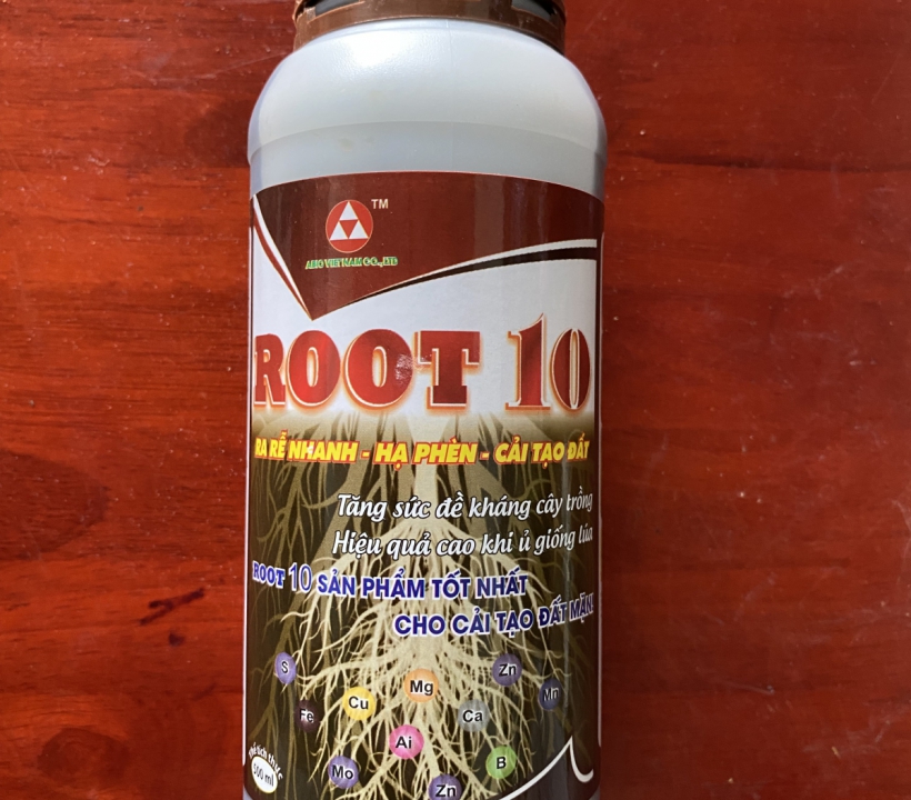 ROOT 10 TĂNG SỨC ĐỀ KHÁNG CHO CÂY TRỒNG 