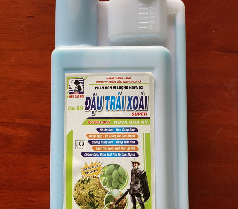 SIÊU ĐẬU TRÁI XOÀI