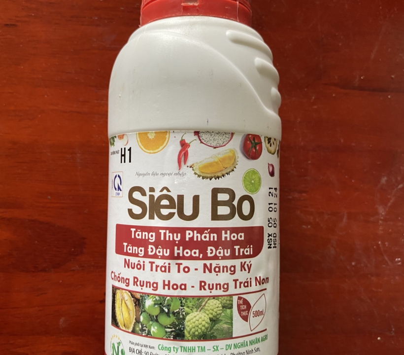 SIÊU BO NUÔI TRÁI TO NẶNG KÝ