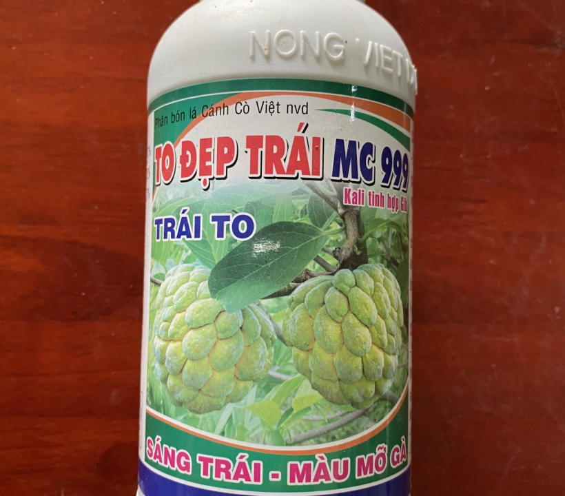 TO ĐẸP TRÁI MC 999