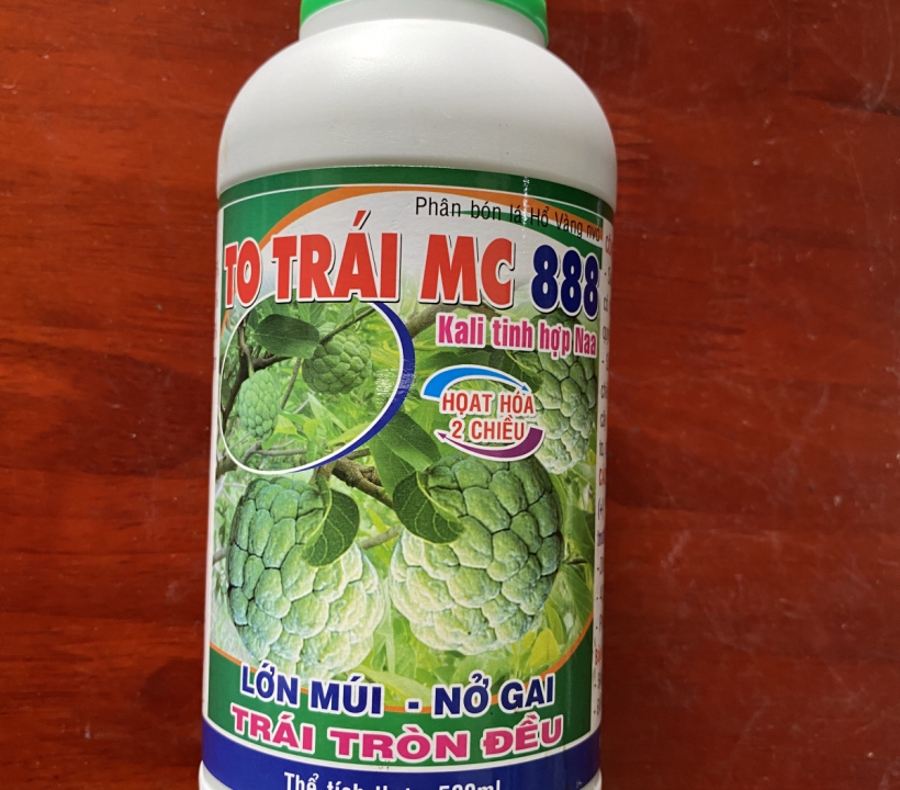 TO TRÁI MC 888 LỚN MÚI - NỞ GAI