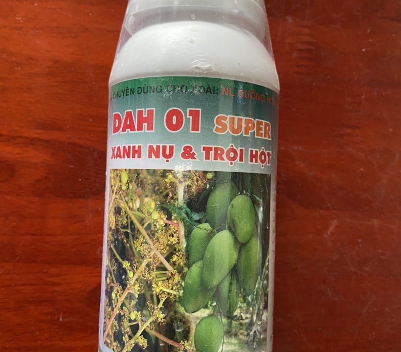 DAH 01 XANH NỤ - TRỘI HỘT
