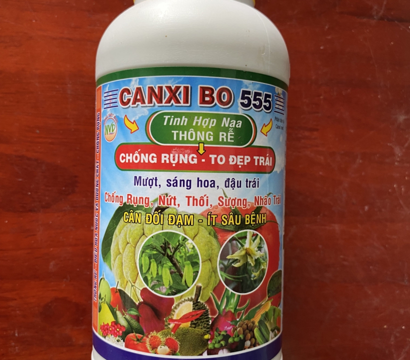 CANXI BO 555 CHỐNG RỤNG - ĐẸP TRÁI