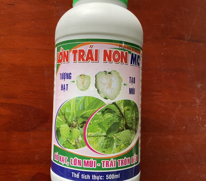 LỚN TRÁI NON MC TƯỢNG HỘT - TẠO MÚI
