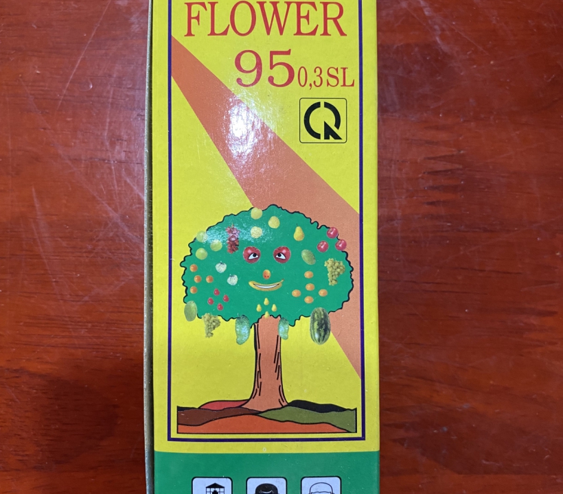 FLOWER 95 ĐIỀU HÒA SINH TRƯỞNG