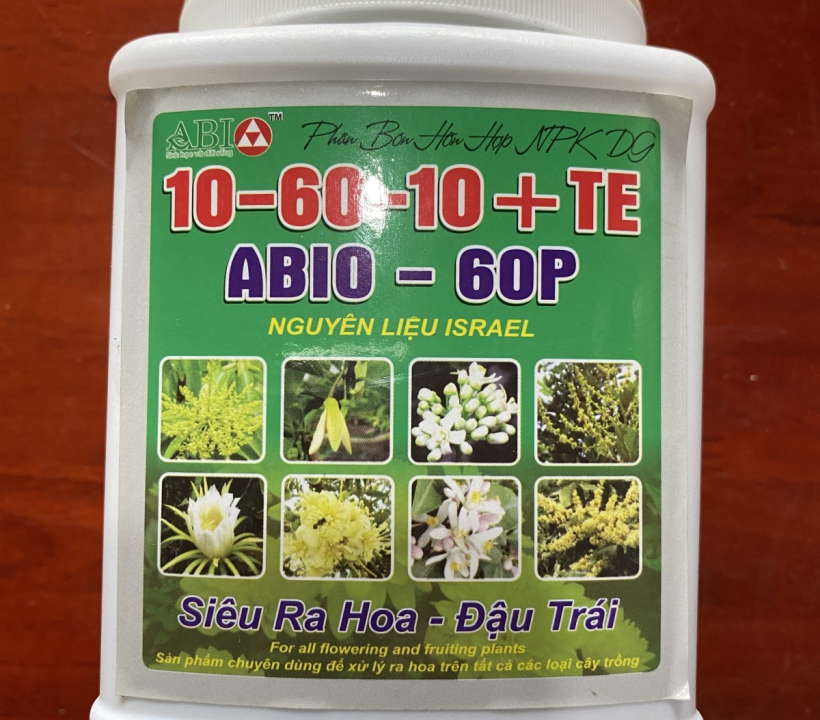 ABIO SIÊU RA HOA - ĐẬU TRÁI