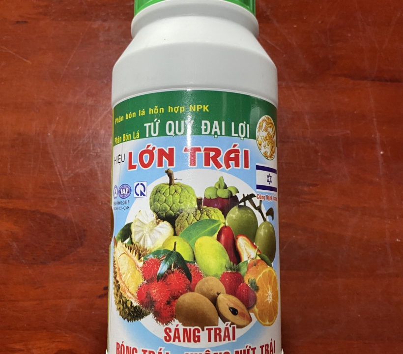 TỨ QUÝ ĐẠI LỢI SÁNG, BÓNG, KHÔNG NỨT TRÁI