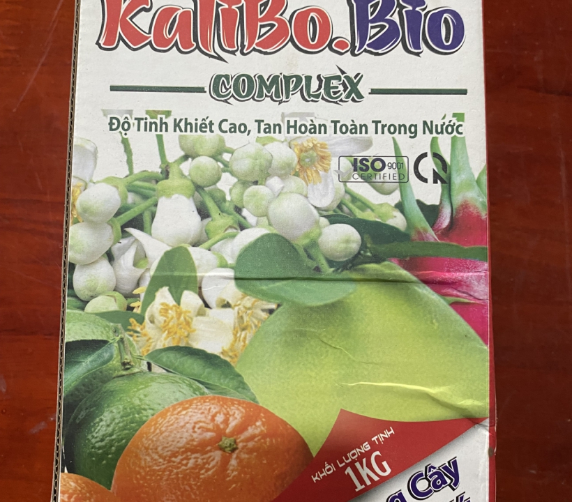 KALIBO BIO CỨNG CÂY- NẶNG KÝ