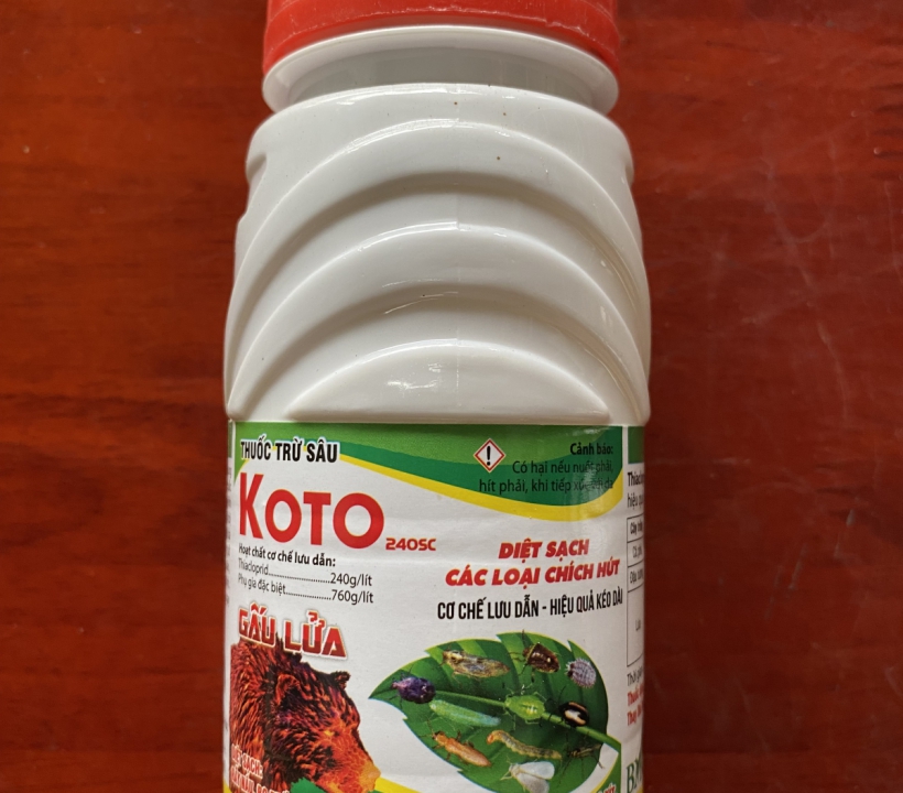 KOTO 240SC DIỆT SẠCH CÁC LOÀI CHÍCH HÚT