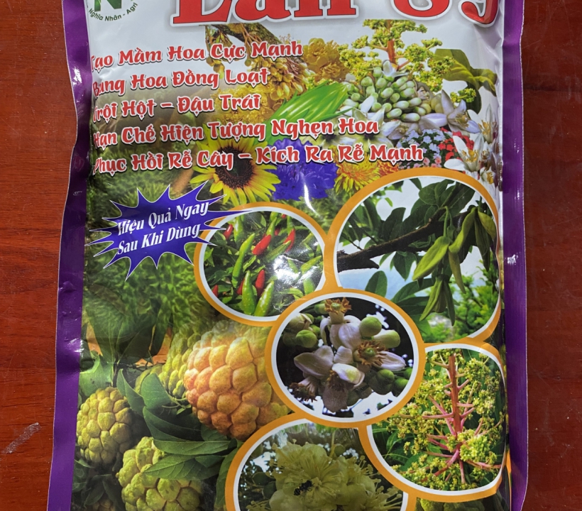 LÂN 89 PHỤC HỒI RỄ, TẠO MẦM HOA
