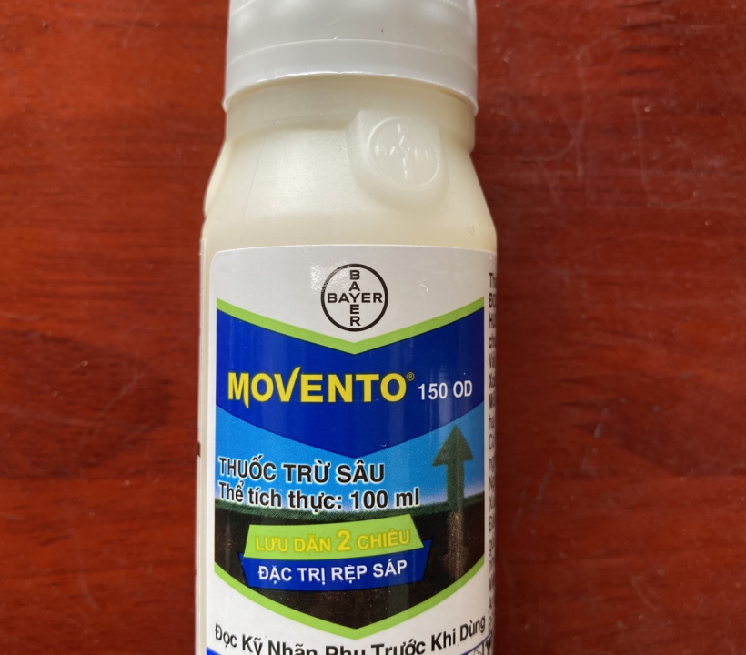 MOVENTO LƯU DẪN 2 CHIỀU ĐẶC TRỊ RỆP SÁP
