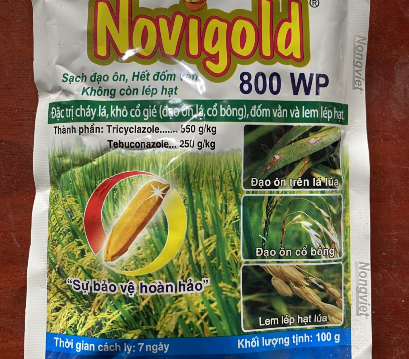 NOVIGOLD SẠCH ĐẠO ÔN HẾT ĐỐM VÀNG 
