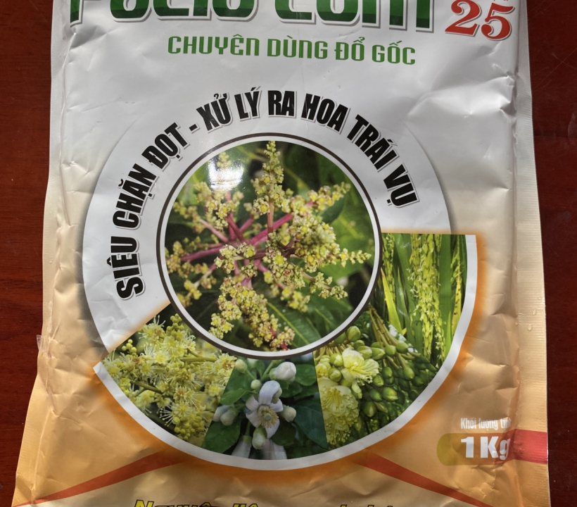 PACLO CỐM XỬ LÝ RA HOA TRÁI VỤ