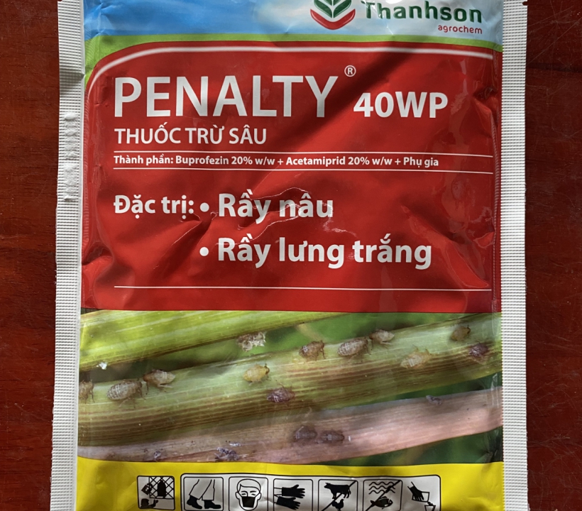 PENALTY 40WP ĐẶC TRỊ: RẦY NÂU - RẦY LƯNG TRẮNG 