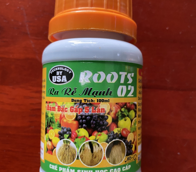 ROOTS 02 RA RỄ CỰC NHANH