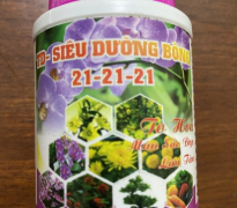 SIEU DUONG BONG
