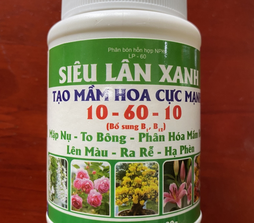 SIÊU LÂN XANH TẠO MẦM HOA CỰC MẠNH