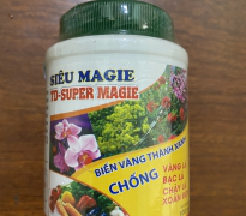 SIÊU MAGIE TD