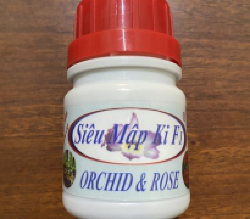 SIÊU MẬP KI F1 (mập thân, mập rễ)