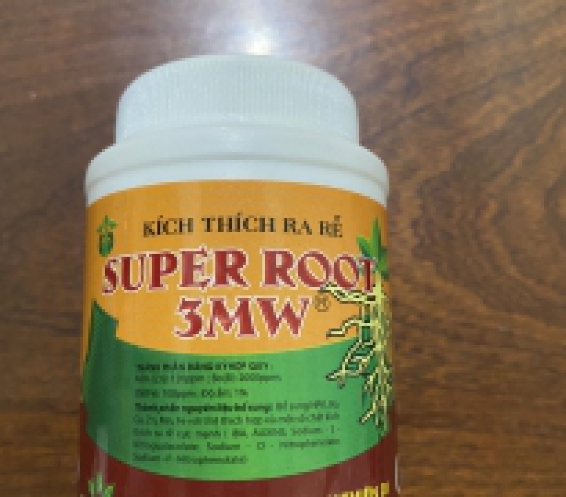 SUPER ROOT 3MW