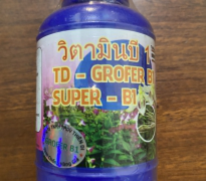 TD GROFER B1 - SUPER B1
