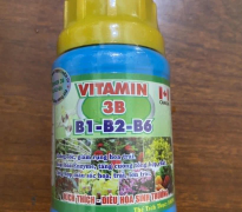 Vitamin 3B (B1-B2-B6)