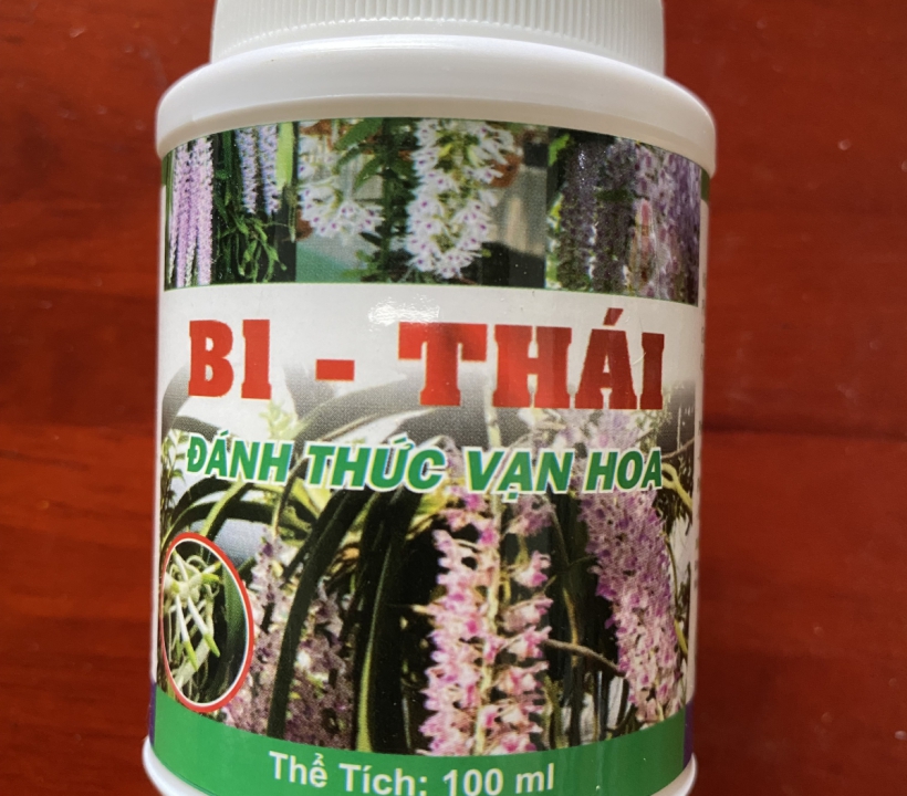 VITAMIN B1 THÁI ĐÁNH THỨC VẠN HOA