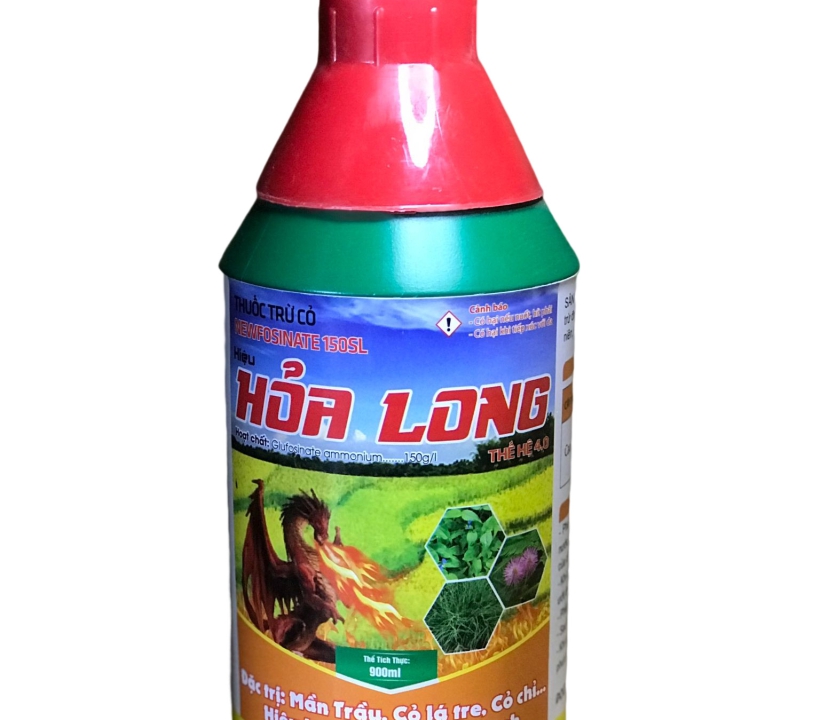 HOẢ LONG